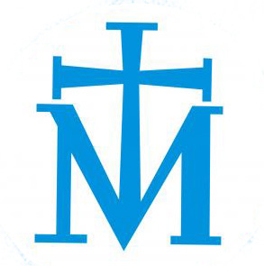 logo msm 877cf
